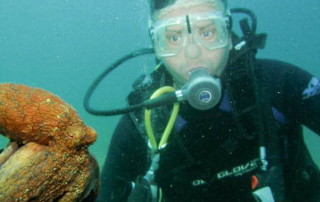 La Jolla Canyon Rated One of The Top Shore Dives in Southern California