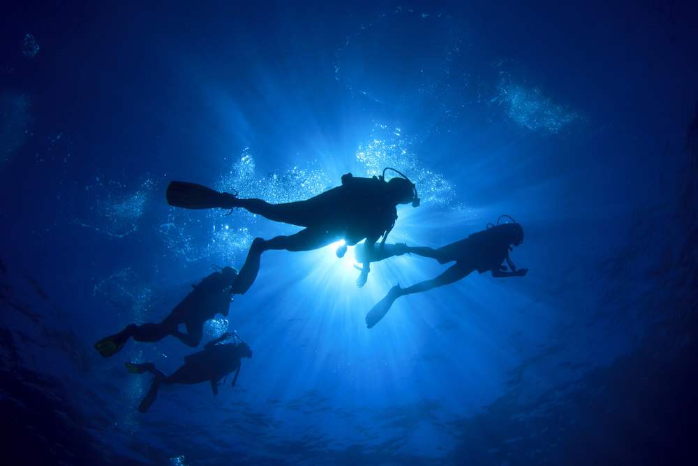 People Scuba Diving (How to Protect Marine Life While SCUBA Diving)