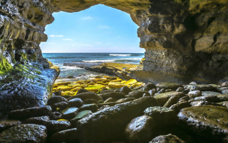 La Jolla Cave - 6 Facts You May Not Know About La Jolla Caves