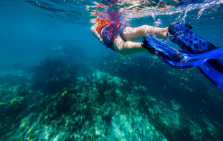 First Time Snorkeling Tips for Beginners