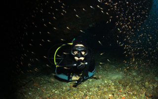 5 Best Tips for Night Diving