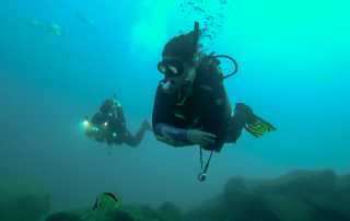 Reasons to Giving Scuba Diving a Try
