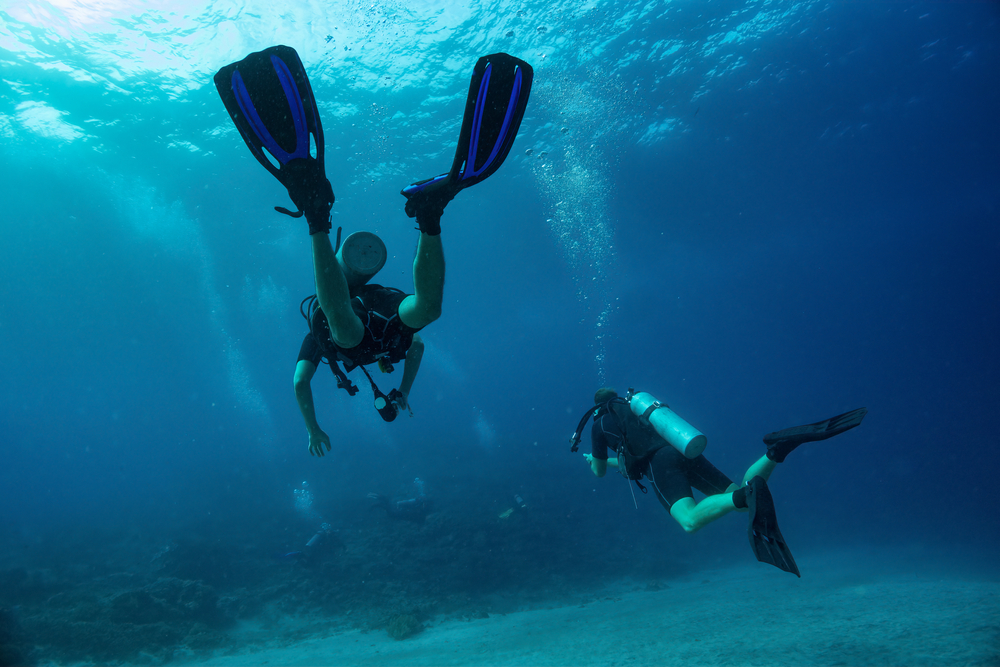 Epic Scuba Diving Facts Every Diver Should Know