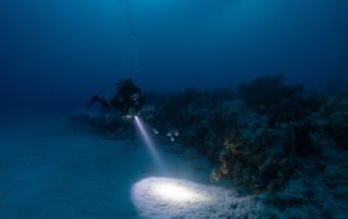 Nighttime Magic: Tips for Safe and Exciting Night Dives
