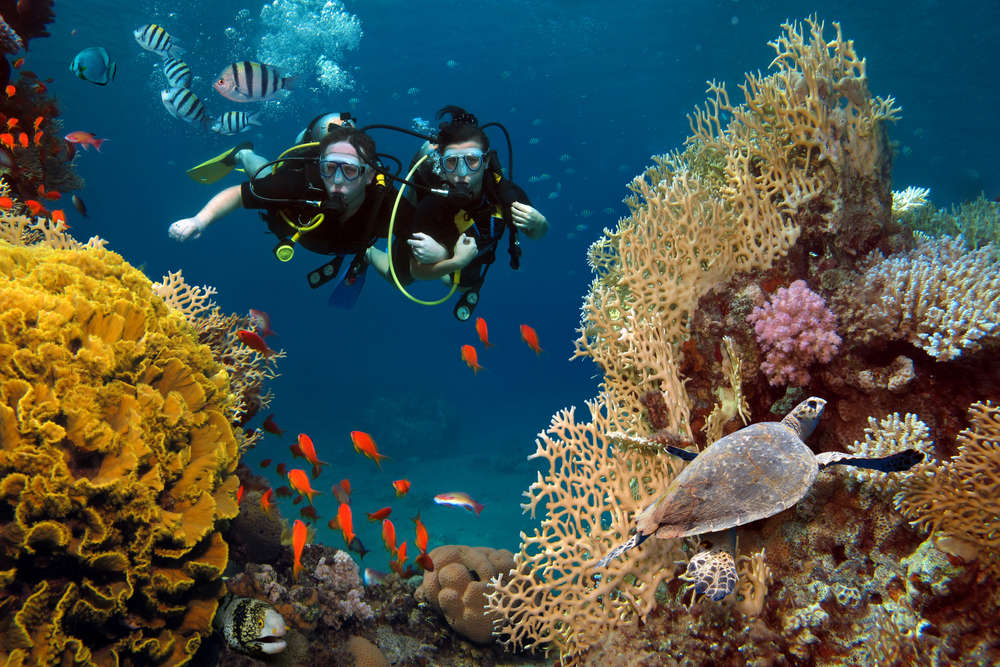 Deep Dive into Wellness: The Health Benefits of Scuba Diving