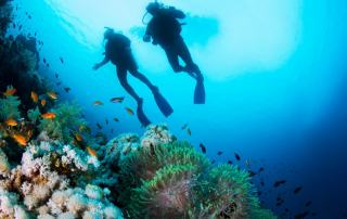 Is San Diego Good for Scuba Diving?