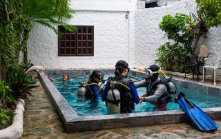 Do I Need to Be Certified to Scuba Dive?