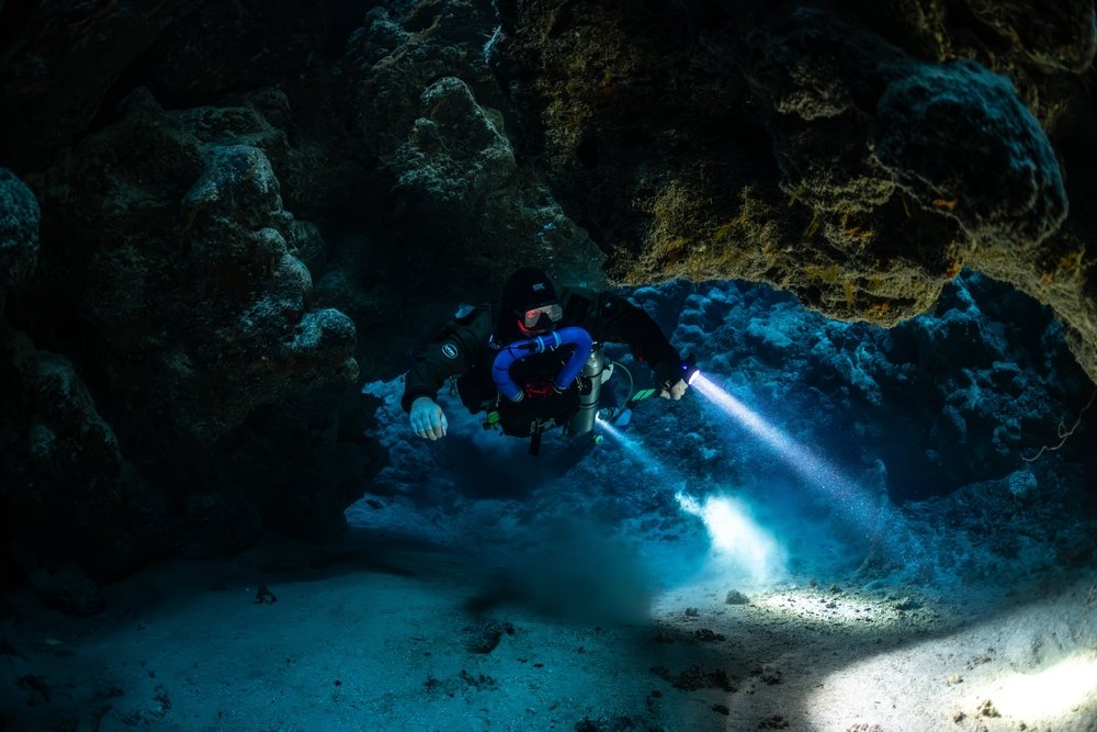 Why Night Diving is a Must-Do Activity