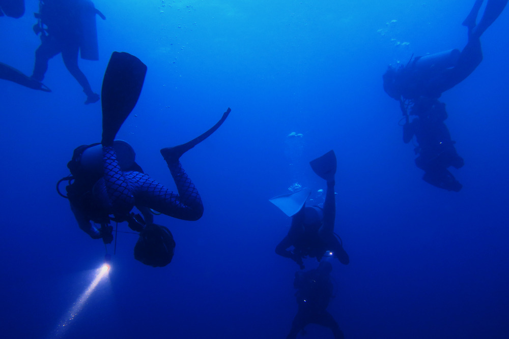 What Makes Night Diving in La Jolla Unique?