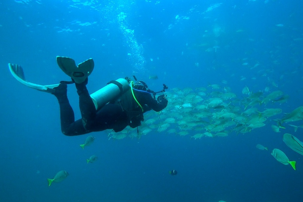 5 Reasons Why a Scuba Diving Tour is the Best Holiday Gift