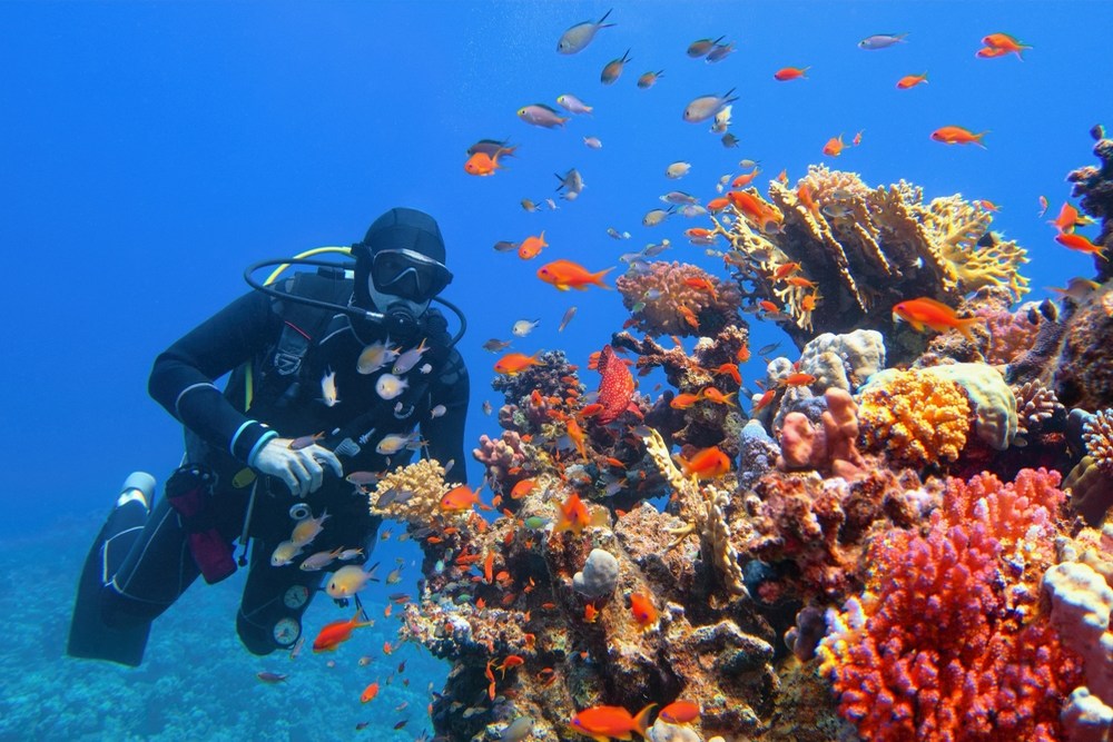 Why Scuba Diving Is the Ultimate Stress Reliever