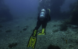How to Prepare Mentally and Physically for Advanced Wreck or Canyon Dives