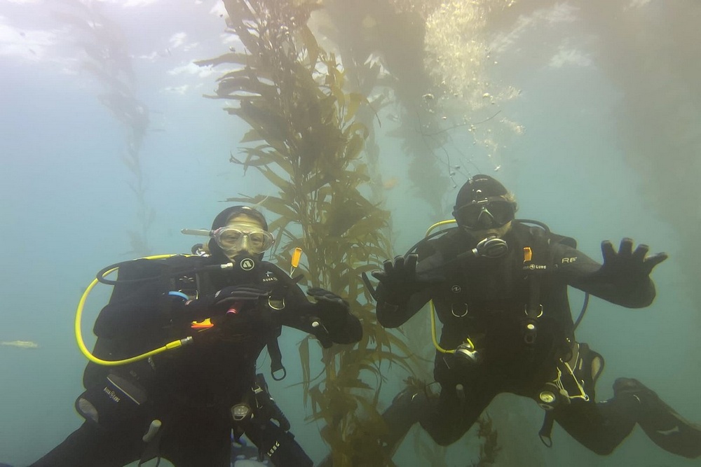 Why Guided Tours to the Coronado Islands Make for an Unforgettable Dive
