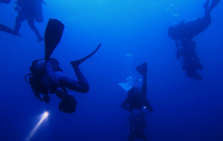 Night Diving: What Makes It a Completely Different Experience