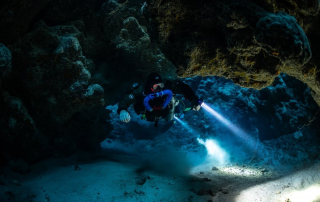 Unwind and Dive at Night with San Diego Scuba Guide’s Guided La Jolla Shores Night Dives