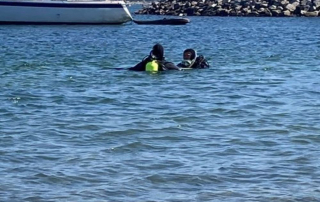 How to Prepare for a Guided Shore Dive at La Jolla Cove for Certified Divers