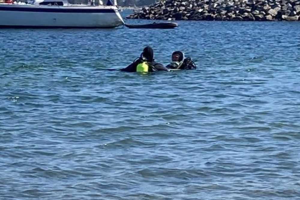 How to Prepare for a Guided Shore Dive at La Jolla Cove for Certified Divers