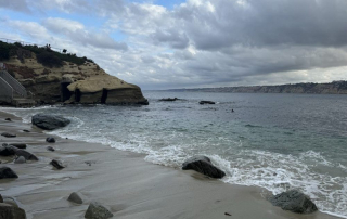 When to Plan a Catalina Day Trip Dive and What to Expect on Your First Visit