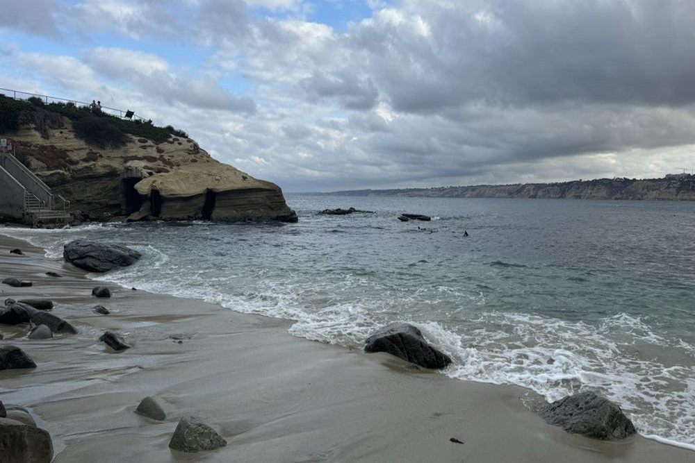 When to Plan a Catalina Day Trip Dive and What to Expect on Your First Visit