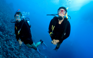 How Guided Scuba Diving Tours Help Beginners Explore the Ocean Safely