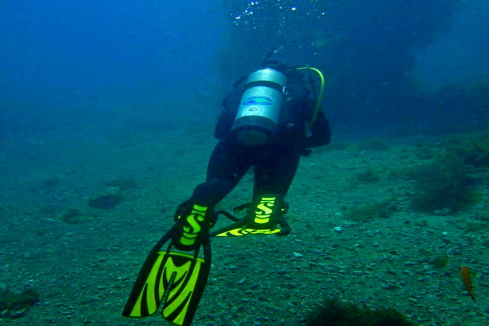 Why Diving at La Jolla Cove Offers Ideal Conditions for New Divers