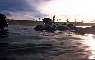 Popular Shore Diving Experiences for Certified Divers in San Diego