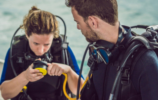 When Hiring a Private Scuba Guide Enhances the Diving Experience