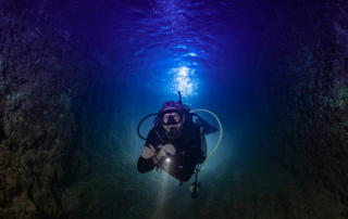 Why a San Diego Night Dive Can Give You a Completely Different Underwater Experience