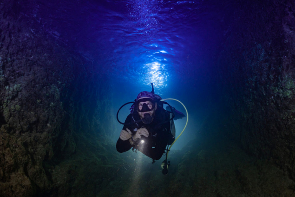 Why a San Diego Night Dive Can Give You a Completely Different Underwater Experience