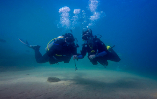 What to Know Before Your First Guided Scuba Dive in San Diego