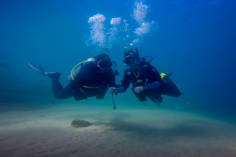 What to Know Before Your First Guided Scuba Dive in San Diego